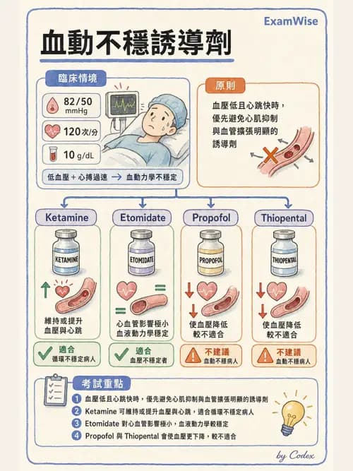 麻醉專護 - 鎮靜安眠藥、吸入性麻醉藥與TIVA - AI 圖文解析預覽