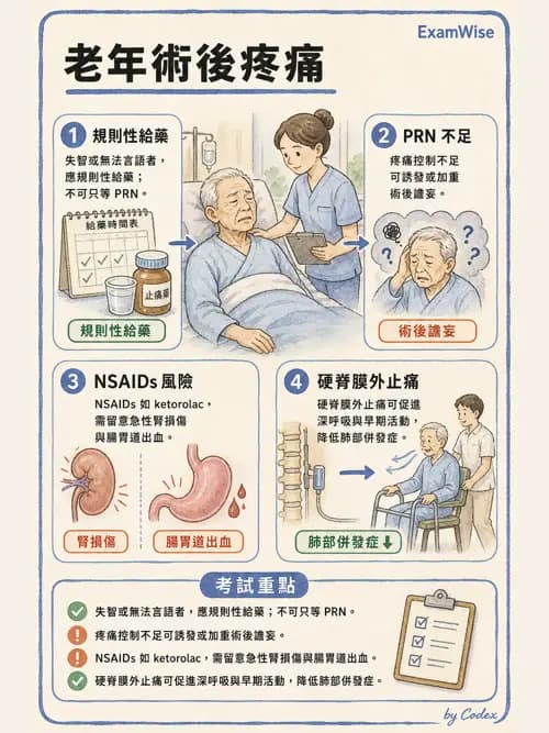麻醉專護 - 老年麻醉 - AI 圖文解析預覽