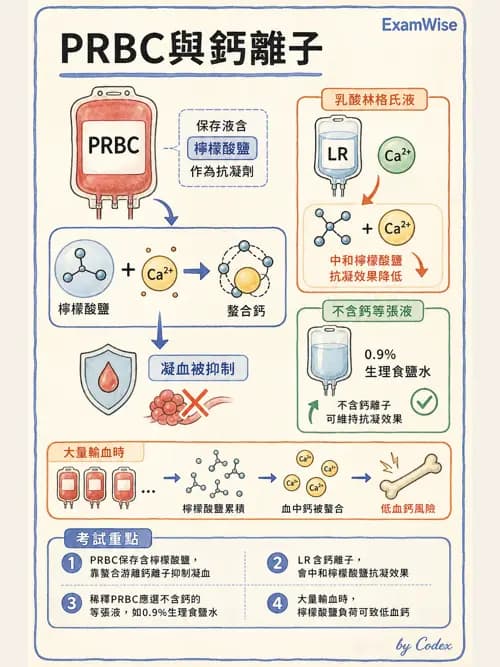 麻醉專護 - 體溫調節與大量輸血 - AI 圖文解析預覽