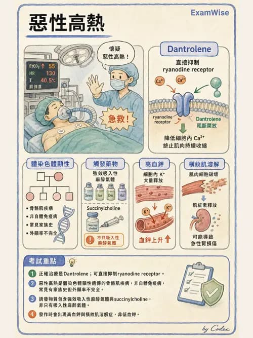 麻醉專護 - 麻醉相關急症 - AI 圖文解析預覽