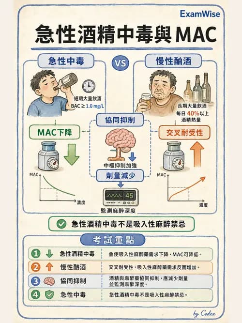 麻醉專護 - 創傷、燒傷與重症麻醉 - AI 圖文解析預覽