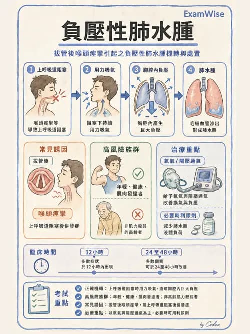 麻醉專護 - 喉痙攣與呼吸道相關併發症 - AI 圖文解析預覽