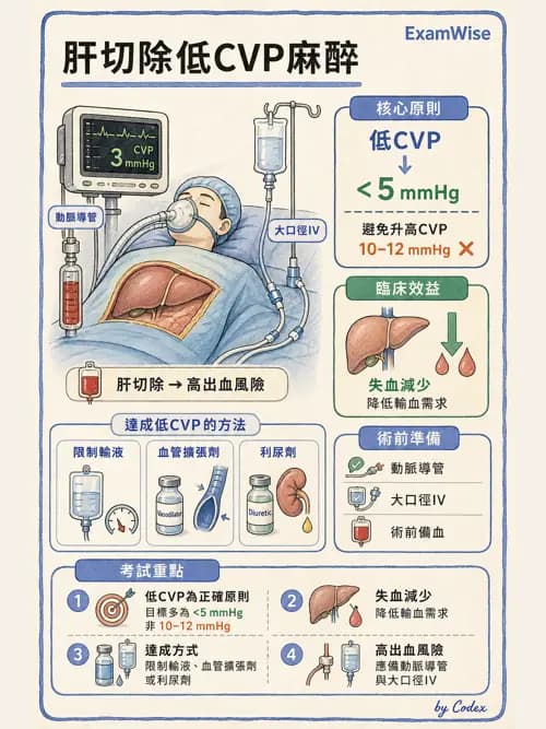 麻醉專護 - 腹部一般外科與胸腔手術麻醉 - AI 圖文解析預覽