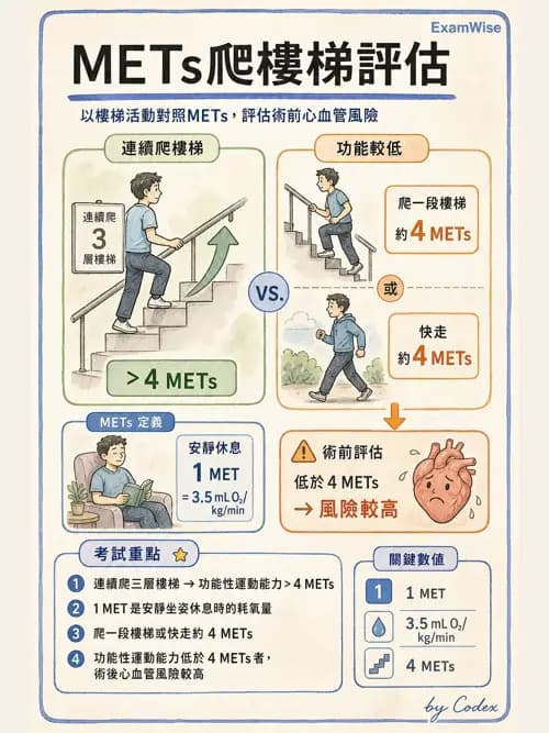 麻醉專護 - 術前評估與風險管理 - AI 圖文解析預覽