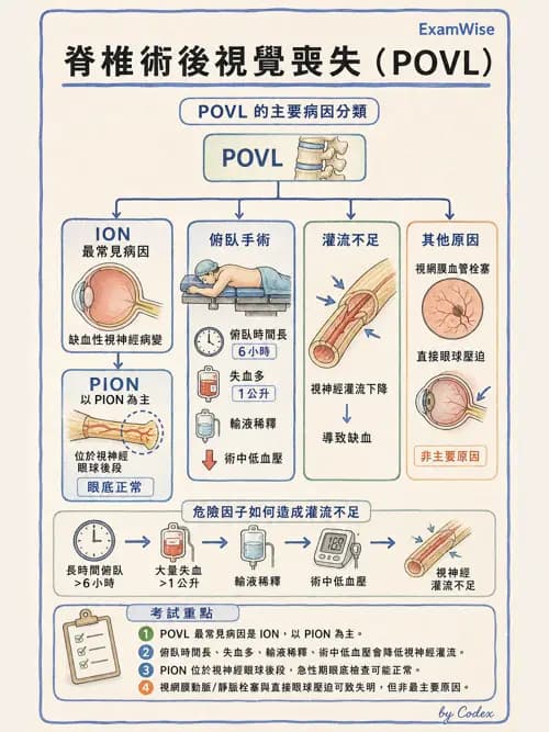 麻醉專護 - 神經外科與脊椎手術麻醉 - AI 圖文解析預覽