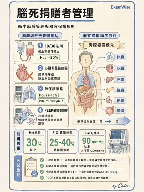麻醉專護 - 器官移植與腦死捐贈麻醉 - AI 圖文解析預覽