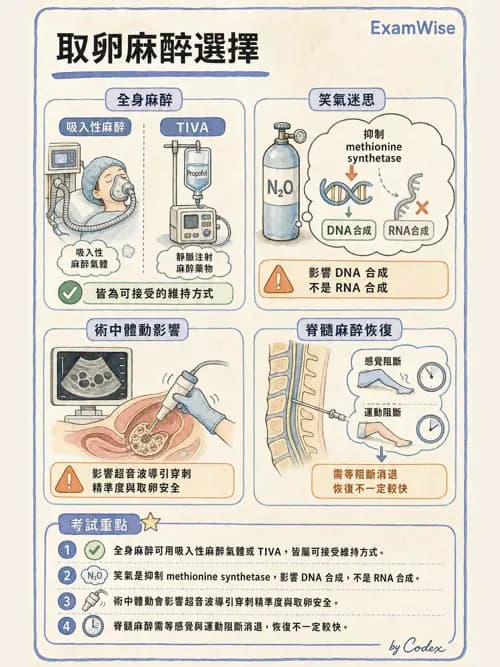 麻醉專護 - 泌尿/婦科/機器人腹腔鏡手術麻醉 - AI 圖文解析預覽