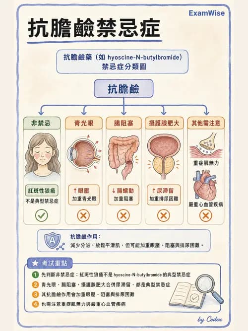 麻醉專護 - 門診手術與內視鏡鎮靜麻醉 - AI 圖文解析預覽