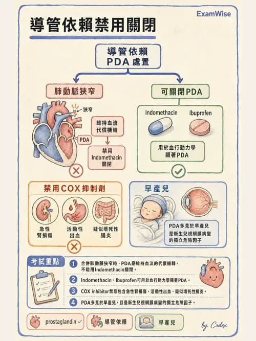 麻醉專護 - 小兒麻醉 - AI 圖文解析預覽