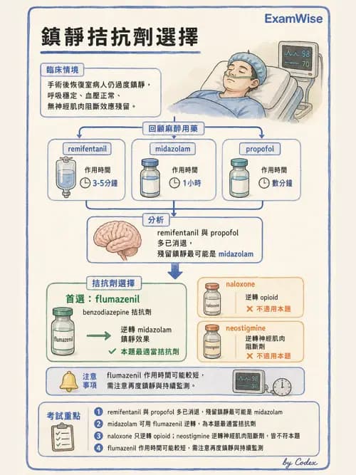 麻醉專護 - 門診手術與內視鏡鎮靜麻醉 - AI 圖文解析預覽