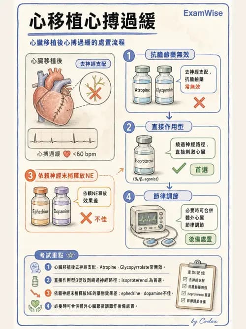 麻醉專護 - 心血管作用藥物與升壓劑 - AI 圖文解析預覽