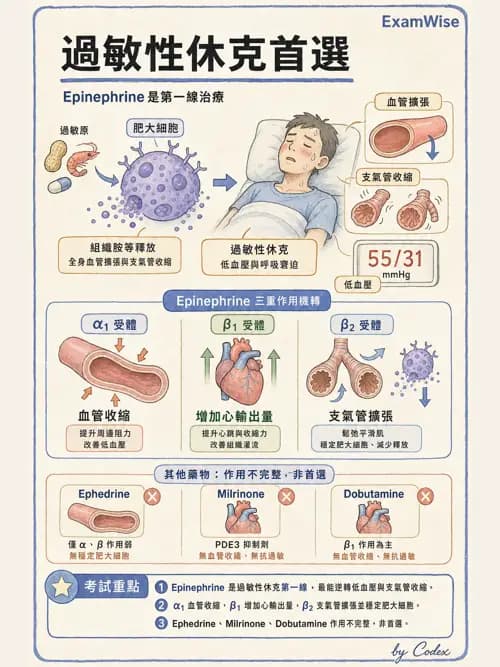 麻醉專護 - 麻醉相關急症 - AI 圖文解析預覽