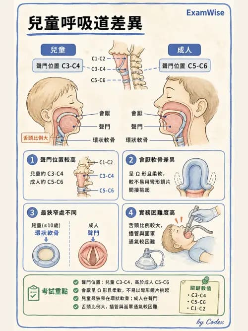 麻醉專護 - 小兒麻醉 - AI 圖文解析預覽