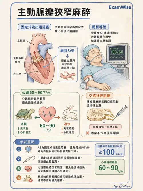 麻醉專護 - 心臟手術與體外循環麻醉 - AI 圖文解析預覽