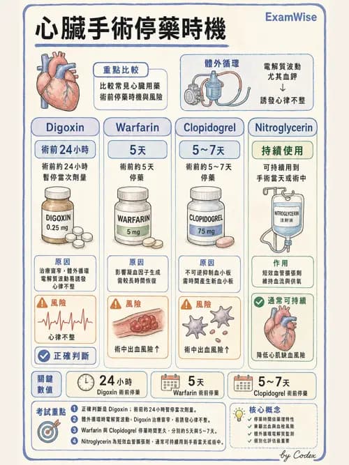 麻醉專護 - 心臟手術與體外循環麻醉 - AI 圖文解析預覽