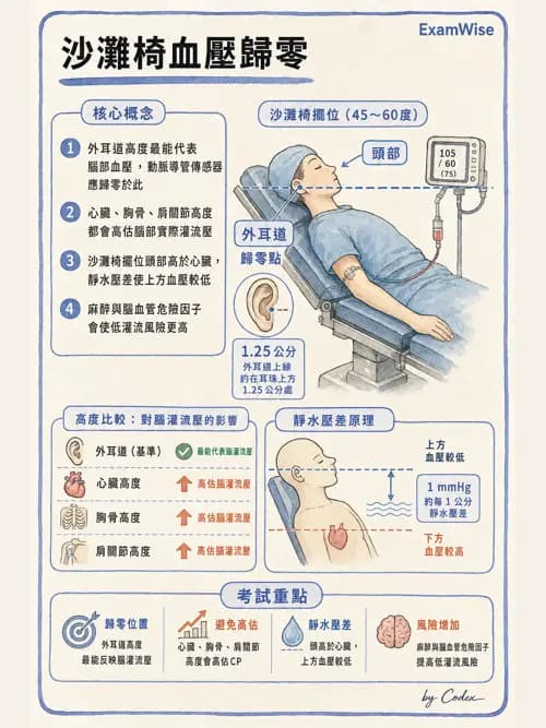 麻醉專護 - 手術體位、止血帶與周邊神經損傷 - AI 圖文解析預覽