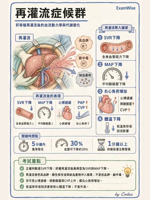 麻醉專護 - 器官移植與腦死捐贈麻醉 - AI 圖文解析預覽
