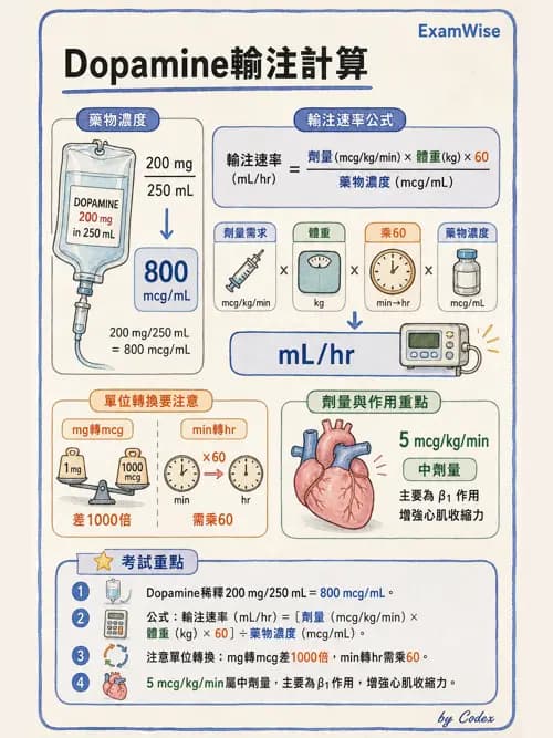 麻醉專護 - 心血管作用藥物與升壓劑 - AI 圖文解析預覽