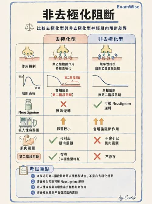 麻醉專護 - 肌肉鬆弛劑與拮抗劑 - AI 圖文解析預覽
