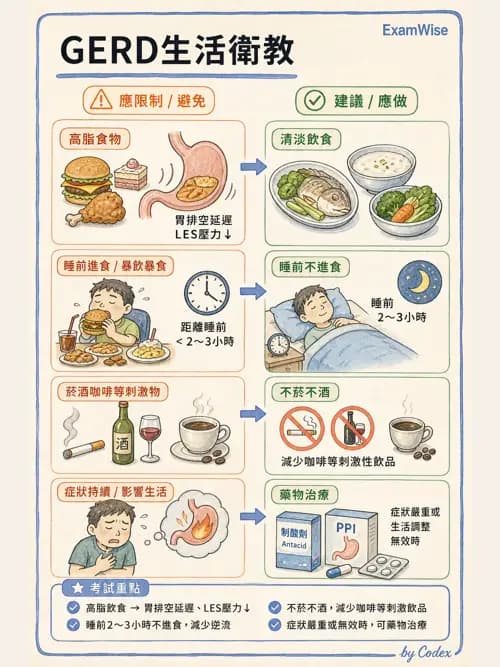 麻醉專護 - 健康促進、篩檢與長期照顧 - AI 圖文解析預覽