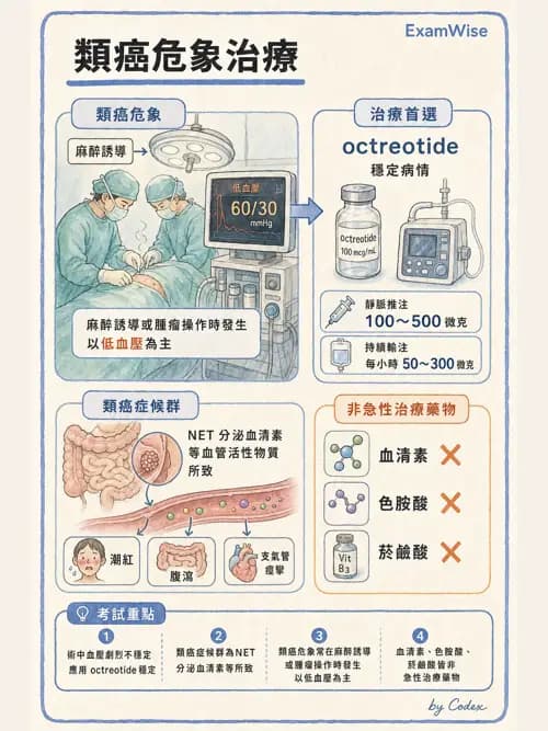 麻醉專護 - 內分泌與代謝疾病評估 - AI 圖文解析預覽