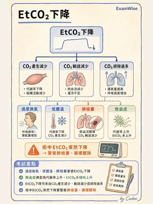麻醉專護 - 術中生理監測技術 - AI 圖文解析預覽