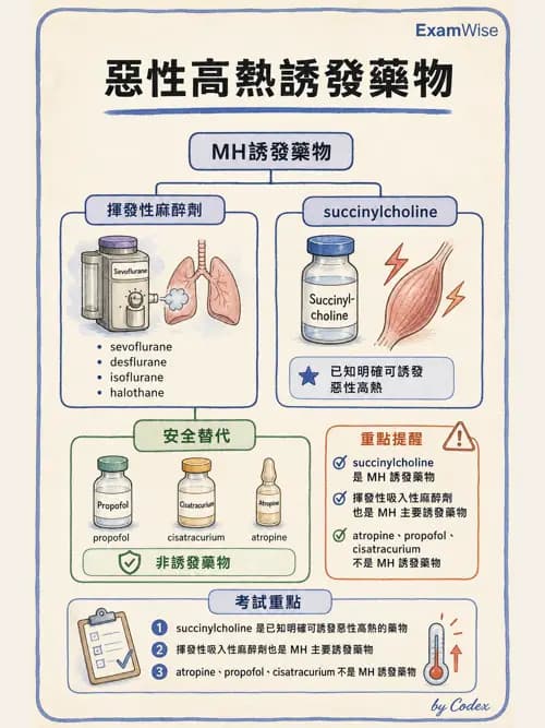 麻醉專護 - 麻醉藥物藥理與肌肉鬆弛劑 - AI 圖文解析預覽