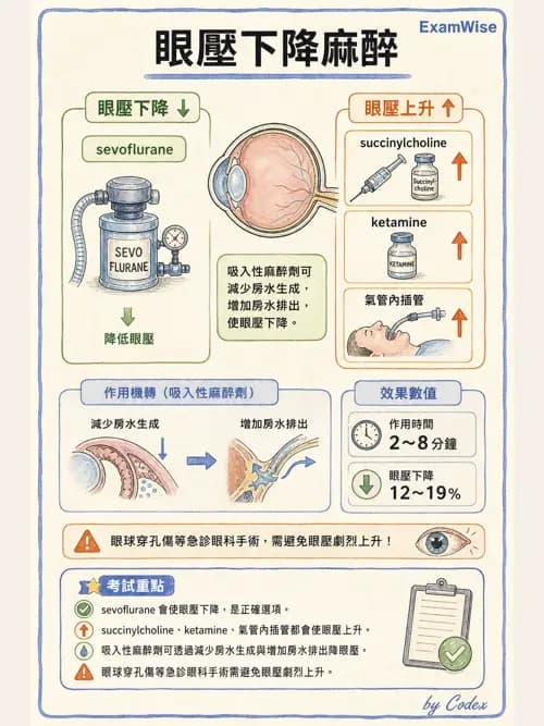 麻醉專護 - 各科手術與特殊族群麻醉 - AI 圖文解析預覽
