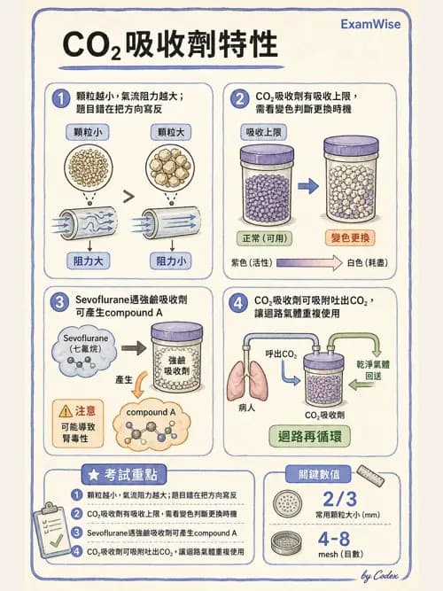 麻醉專護 - 麻醉機與呼吸系統 - AI 圖文解析預覽