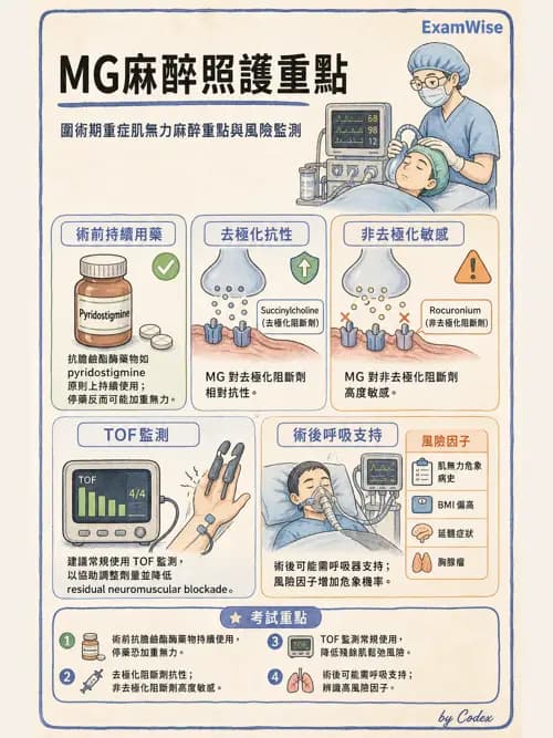 麻醉專護 - 麻醉藥物藥理與肌肉鬆弛劑 - AI 圖文解析預覽