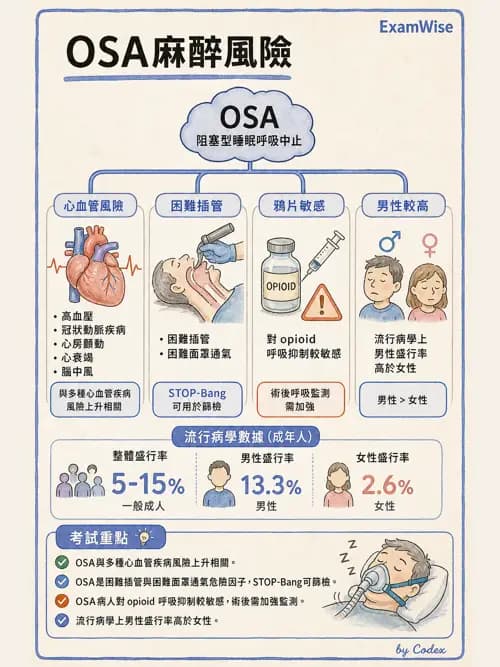麻醉專護 - 呼吸系統疾病術前評估 - AI 圖文解析預覽