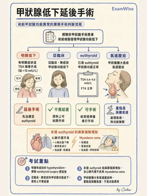 麻醉專護 - 內分泌與代謝疾病評估 - AI 圖文解析預覽
