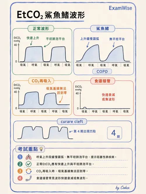 麻醉專護 - 術中生理監測技術 - AI 圖文解析預覽