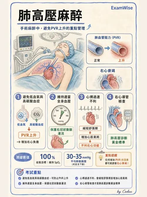 麻醉專護 - 呼吸系統疾病術前評估 - AI 圖文解析預覽
