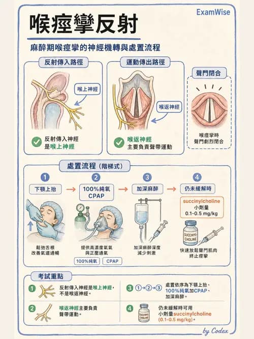 麻醉專護 - 呼吸道評估與處置 - AI 圖文解析預覽