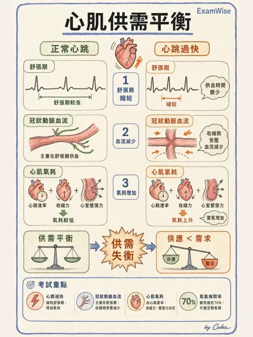 麻醉專護 - 心血管疾病術前評估 - AI 圖文解析預覽