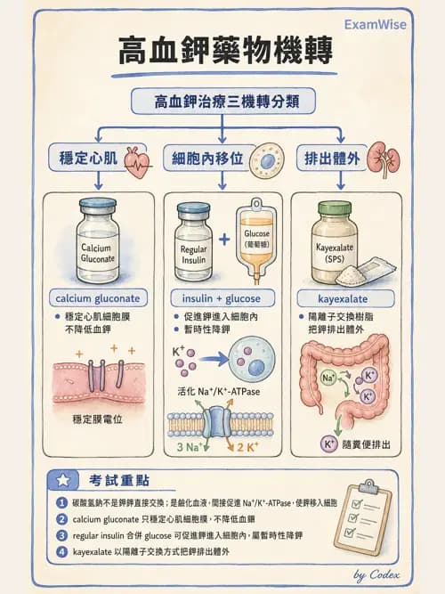 麻醉專護 - 電解質、酸鹼平衡與體液評估 - AI 圖文解析預覽