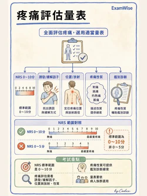 麻醉專護 - 止痛藥物與安寧緩和照護基礎 - AI 圖文解析預覽