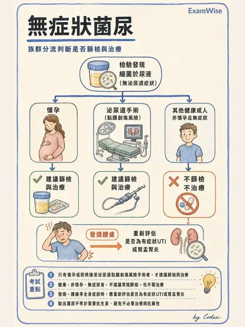 麻醉專護 - 感染症、發燒與抗生素 - AI 圖文解析預覽