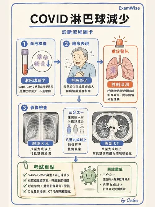 麻醉專護 - 感染症、發燒與抗生素 - AI 圖文解析預覽