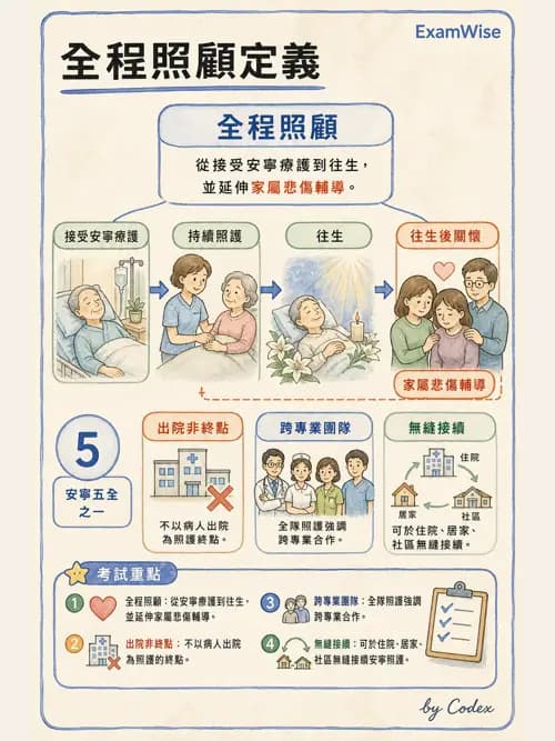 麻醉專護 - 止痛藥物與安寧緩和照護基礎 - AI 圖文解析預覽