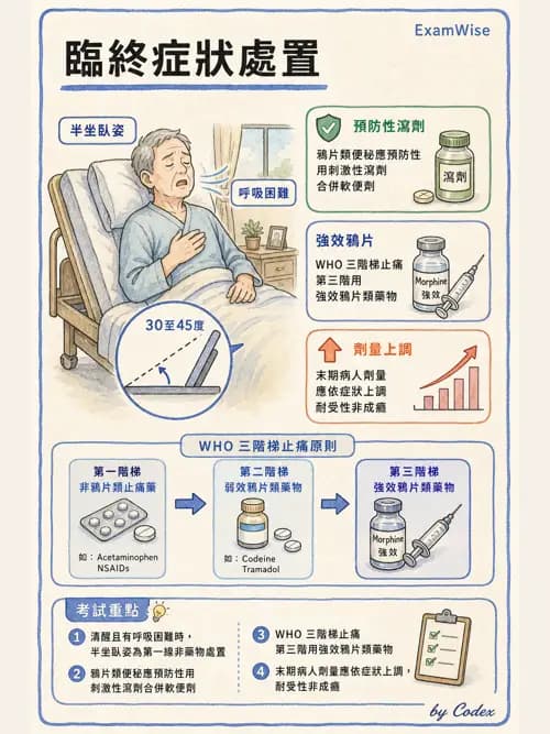 麻醉專護 - 止痛藥物與安寧緩和照護基礎 - AI 圖文解析預覽