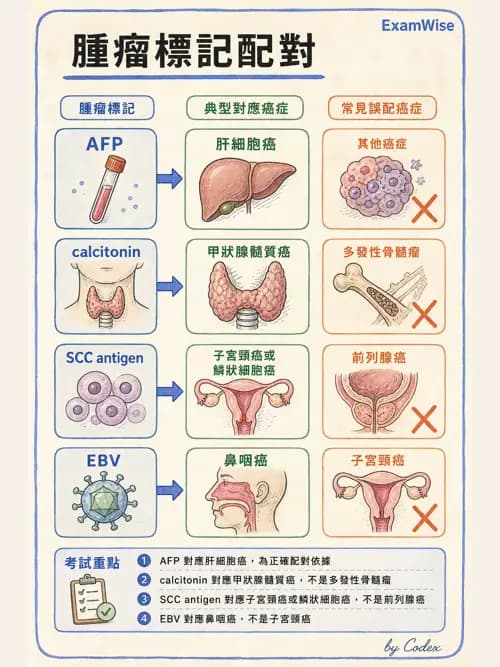 麻醉專護 - 內科疾病鑑別診斷 - AI 圖文解析預覽