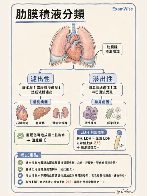 麻醉專護 - 內科疾病鑑別診斷 - AI 圖文解析預覽
