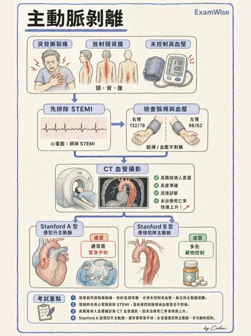 麻醉專護 - 內科疾病鑑別診斷 - AI 圖文解析預覽