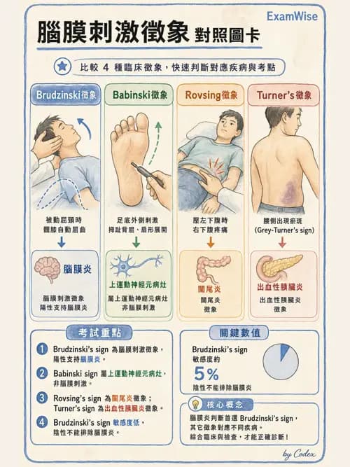 麻醉專護 - 內科疾病鑑別診斷 - AI 圖文解析預覽