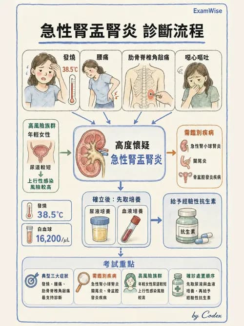 麻醉專護 - 內科疾病鑑別診斷 - AI 圖文解析預覽