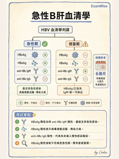 麻醉專護 - 內科疾病鑑別診斷 - AI 圖文解析預覽