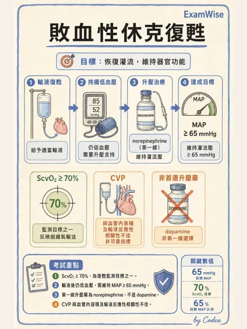 麻醉專護 - 心律不整判讀、ACLS與休克辨識 - AI 圖文解析預覽