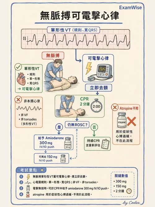 麻醉專護 - 心律不整判讀、ACLS與休克辨識 - AI 圖文解析預覽